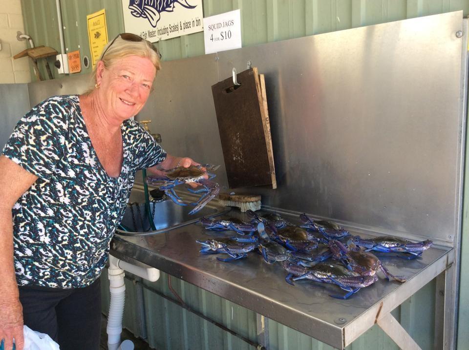 Ceduna Foreshore Caravan Park Zewnętrze zdjęcie
