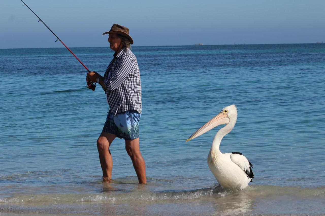 Ceduna Foreshore Caravan Park Zewnętrze zdjęcie